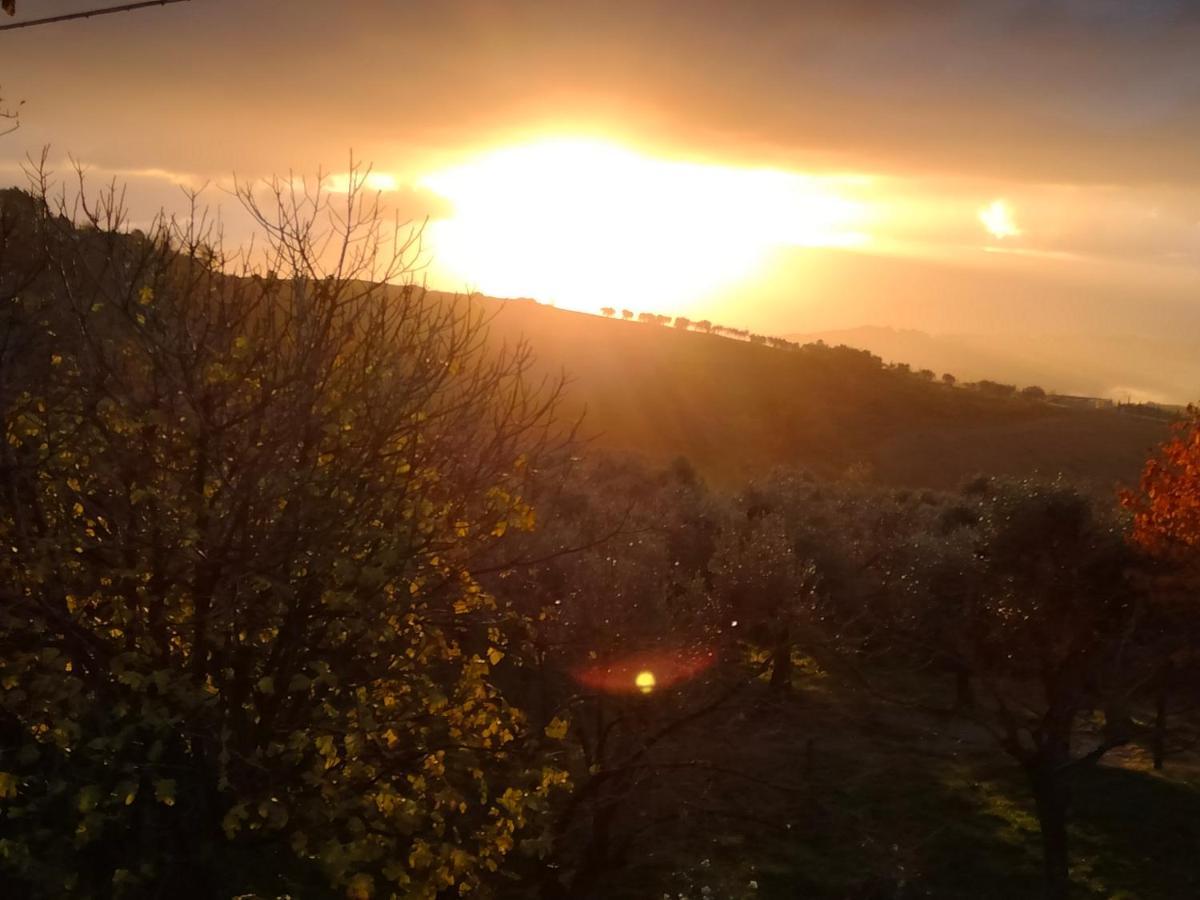Casale Del Tempo Lento Bed and Breakfast Narni Buitenkant foto