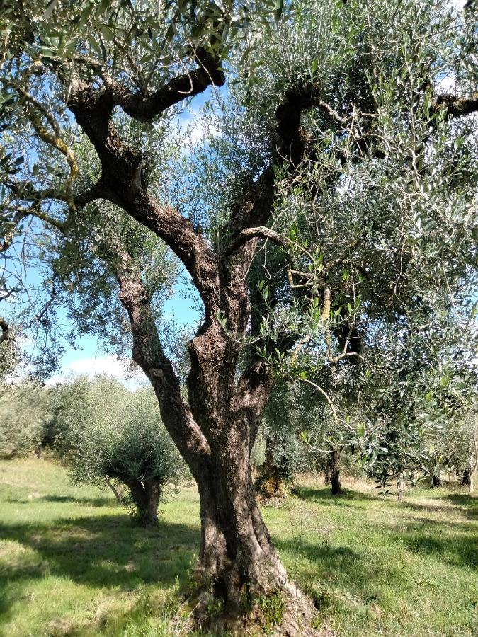 Casale Del Tempo Lento Bed and Breakfast Narni Buitenkant foto